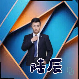 陆辰